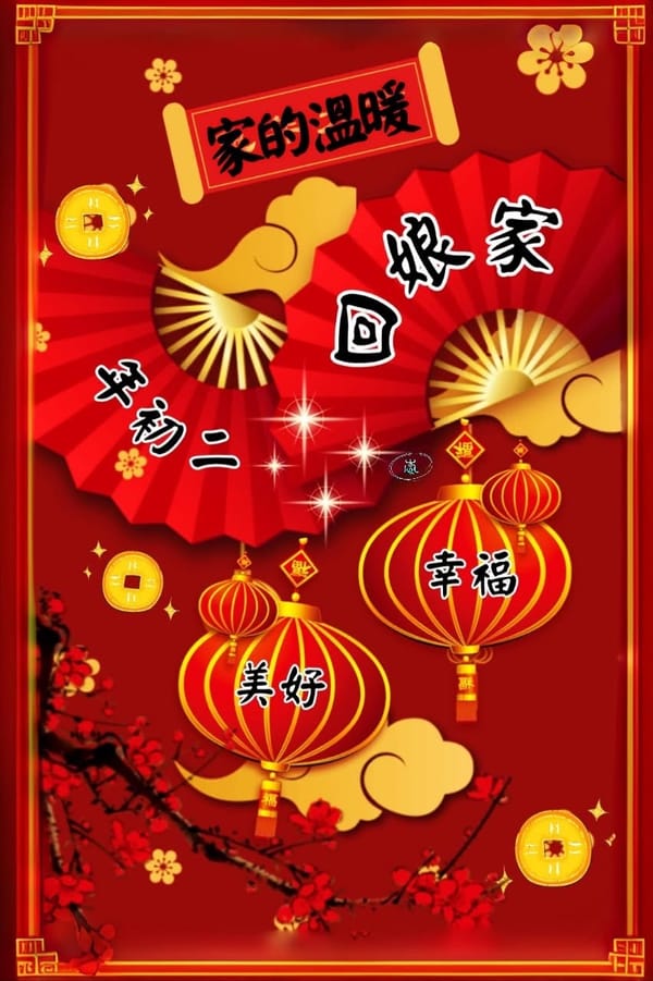 《大年初二•回娘家》